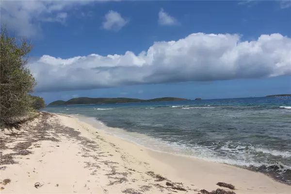 250 Zoni PLAYA LARGA, Culebra, PR 00775