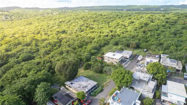 Vieques, PR 00765,515 CALLE GERANIOS