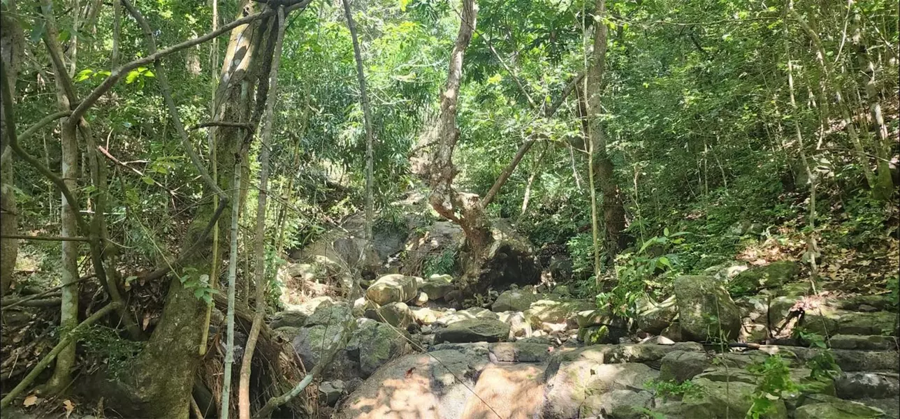 Carr. 412, Km. 4.8 CALLE PASCUAL NIEVES, BO. CALVACHE, Rincon, PR 00677