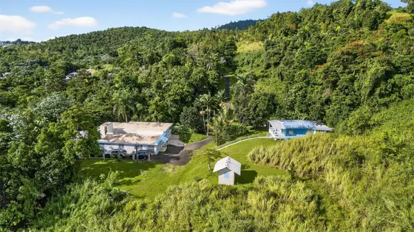 Canovanas, PR 00729,Carr. 186 INT 9948 KM 7.4 SECTOR MARINES CUBUY