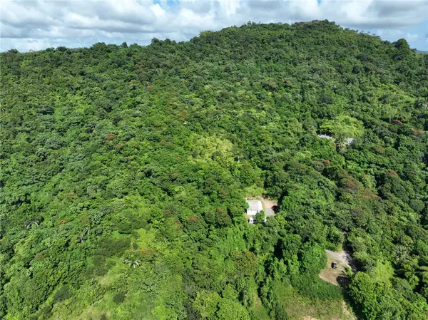 PR 902 CAMINO CARLOS DIAZ, San Lorenzo, PR 00754