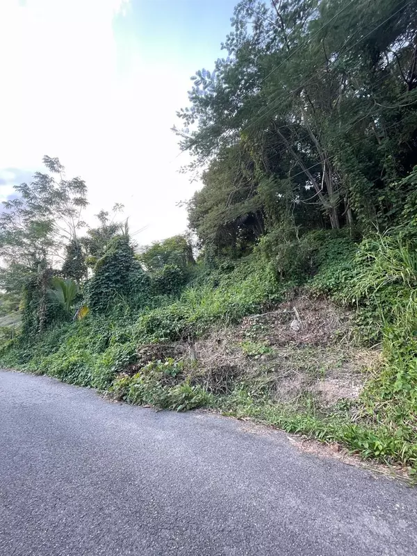 Anasco, PR 00610,SOLAR 2. BARRIO DAGUEY, URB. SAGRADO CORAZON