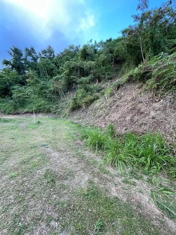 Anasco, PR 00610,SOLAR 2. BARRIO DAGUEY, URB. SAGRADO CORAZON