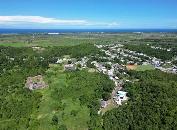 Barceloneta, PR 00617,682 GARROCHALES INT KM 3.1