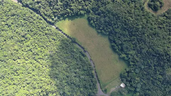 Sabana Hoyos, PR 00688,CARRETERA PR-628, KM. 5.2