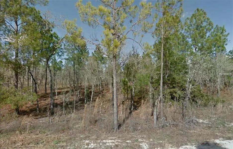 SE 6TH LN, Williston, FL 32696