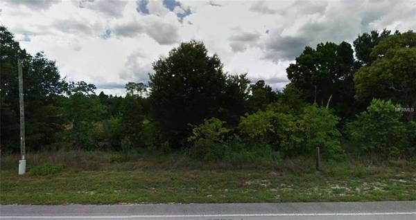 31601 STATE ROAD 44, Eustis, FL 32736