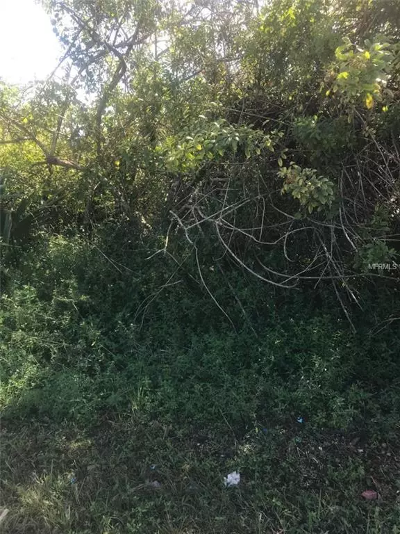 1242 DAMEN ST E, Lehigh Acres, FL 33974