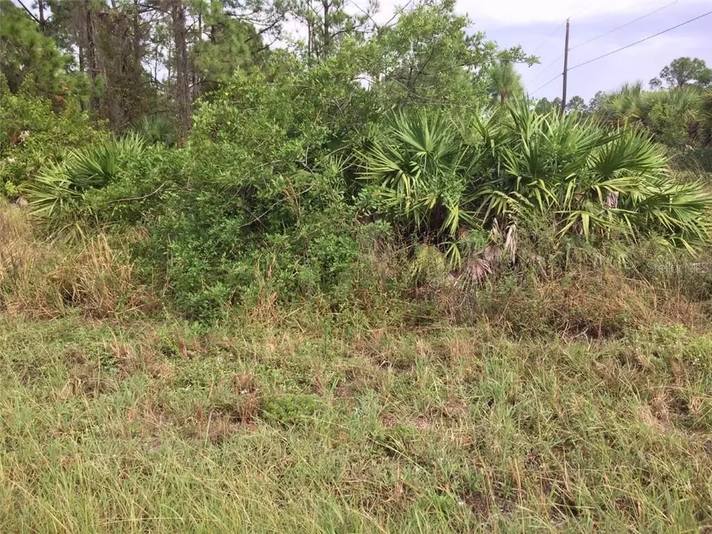 Lehigh Acres, FL 33974,195 LOMAX AVE S
