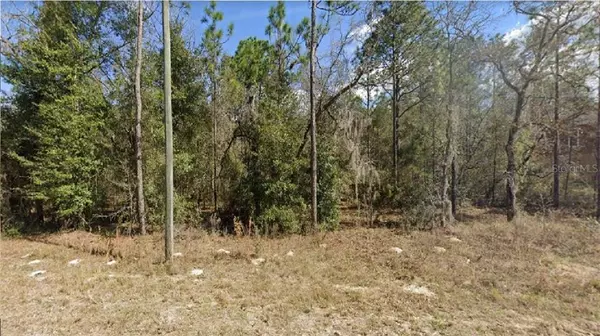 CATBIRD RD, Brooksville, FL 34614