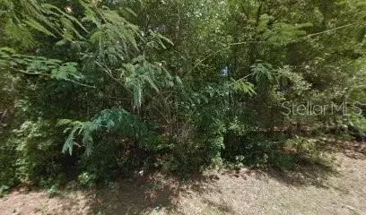 1144 LEHIGH TER, Inverness, FL 34452