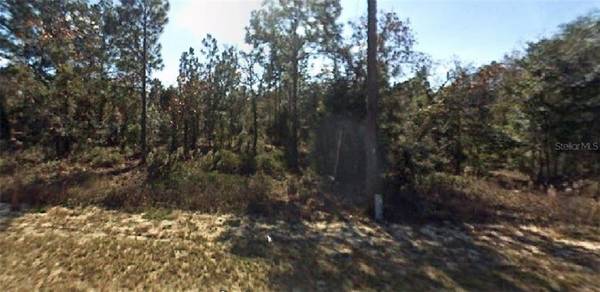 0 SW RAINBOW LAKES BLVD, Dunnellon, FL 34431