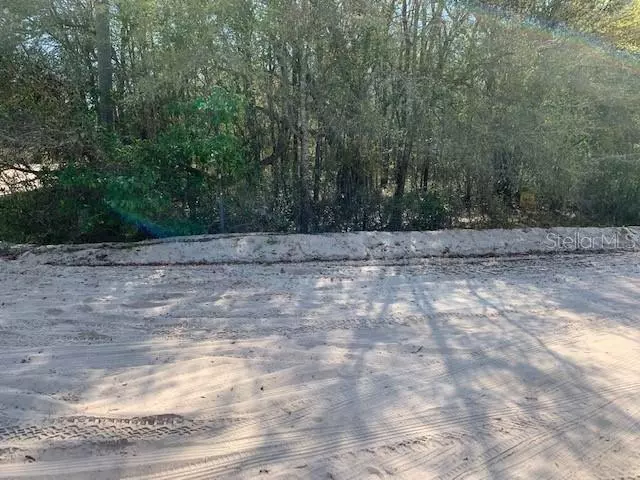 Interlachen, FL 32148,0 JUNIOR LAKE DRIVE