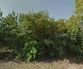 New Port Richey, FL 34654,12955 LADD AVE