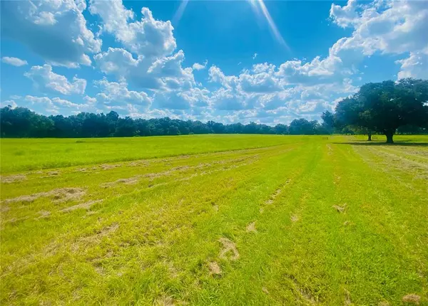 Summerfield, FL 34491,TBD S HIGHWAY 475