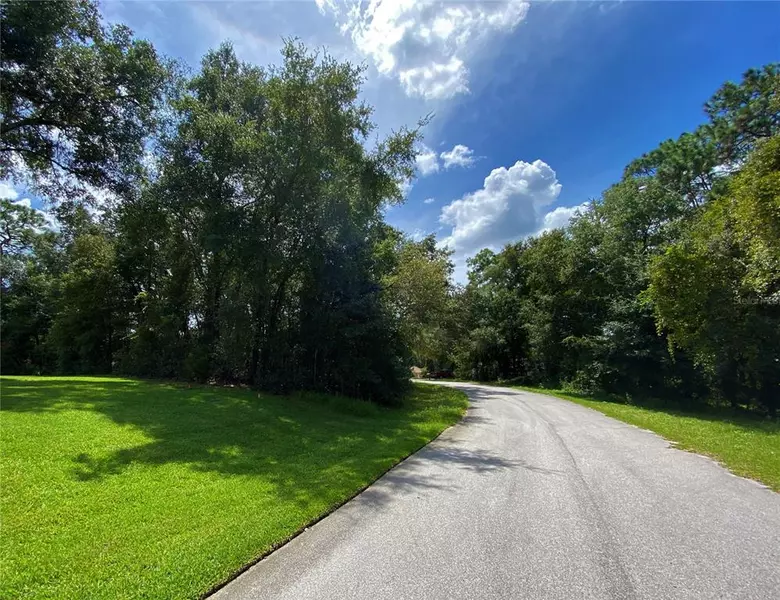 0 SW 97TH PL, Dunnellon, FL 34432