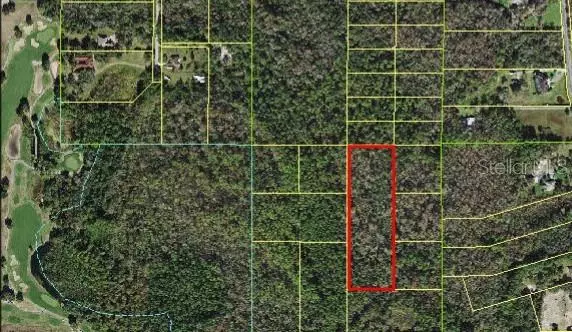 S GOODMAN RD, Kissimmee, FL 34747