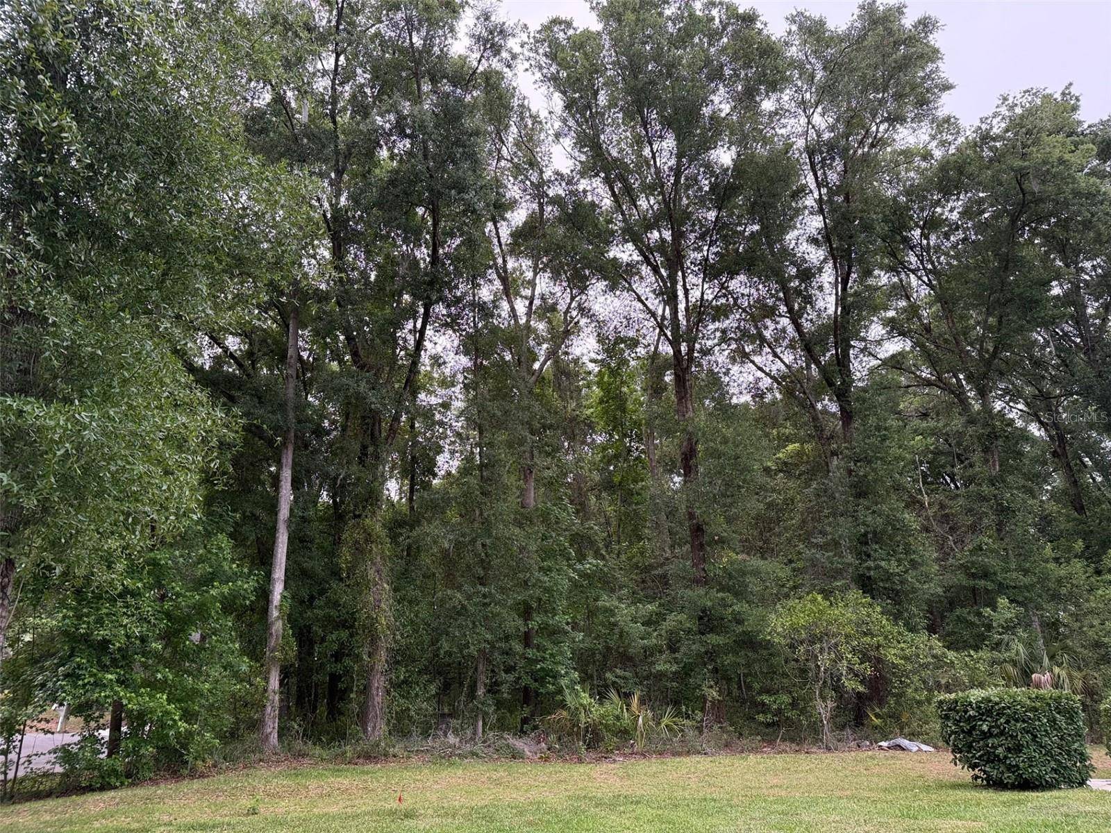 Dunnellon, FL 34432,190TH TER