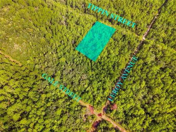 Hastings, FL 32145,0 TIPPIN ST