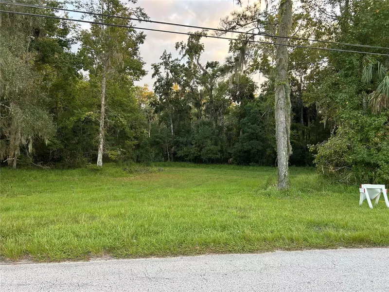 24916 BUTLER ST, Astor, FL 32102