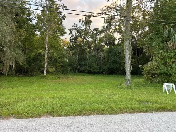 24916 BUTLER ST, Astor, FL 32102