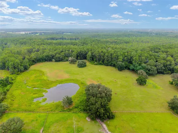 Fort Mc Coy, FL 32134,NE 127TH ST