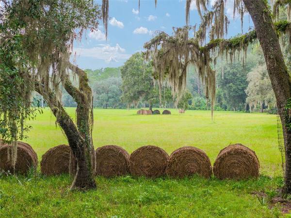 Fort Mc Coy, FL 32134,NE 127TH ST