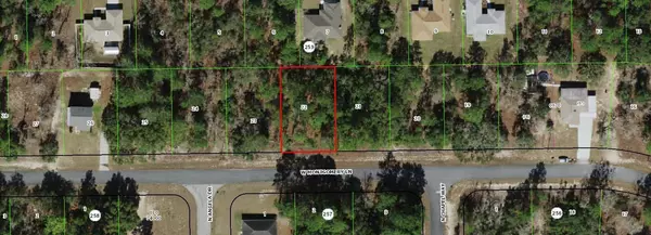 Citrus Springs, FL 34433,3271 W MONTGOMERY LN