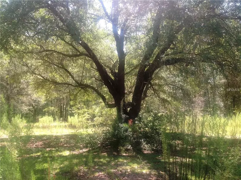 00 NE 111 TH AVE, Archer, FL 32618