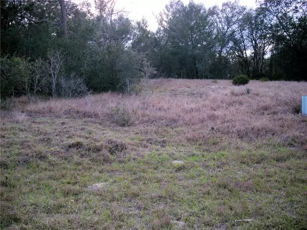 220 BEGONIA LN, Poinciana, FL 34759