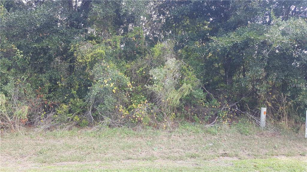 1007 COATBRIDGE DR, Kissimmee, FL 34758