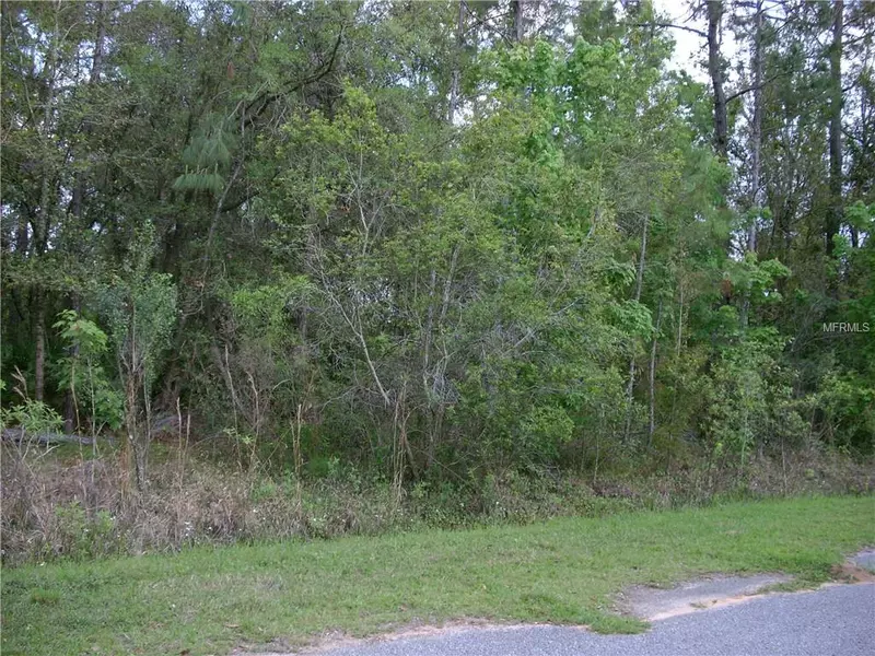 169 SPARROW CT, Poinciana, FL 34759