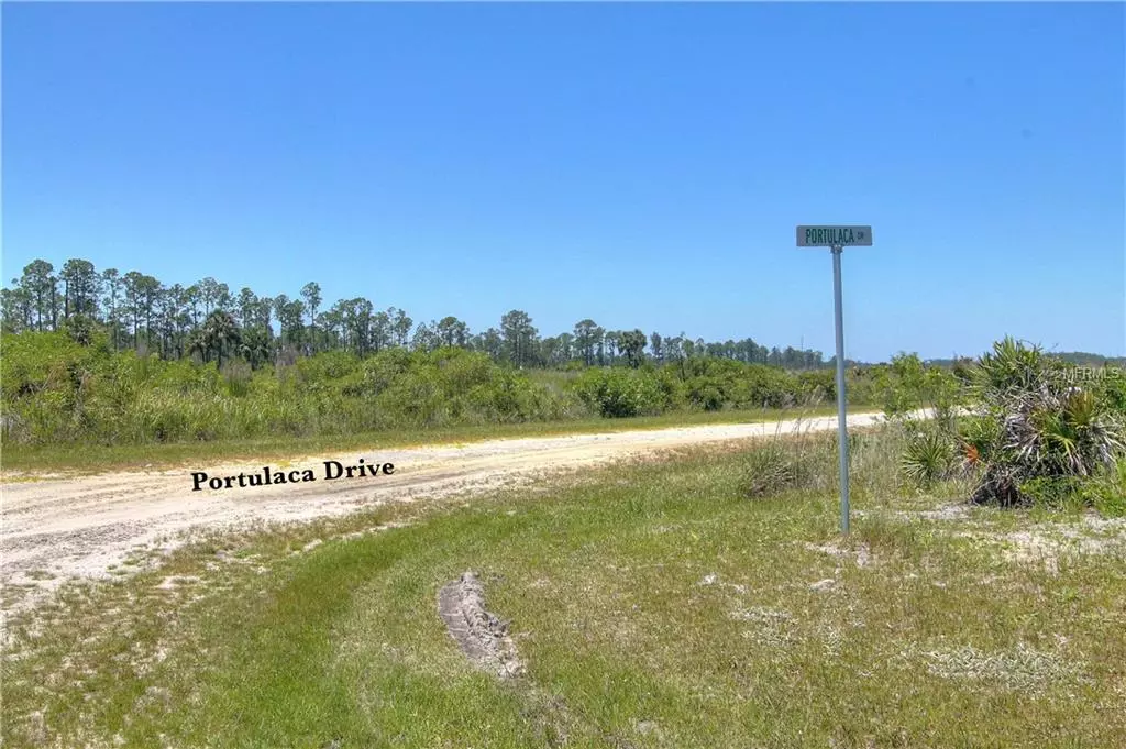 Indian Lake Estates, FL 33855,0 PORTULACA DRIVE