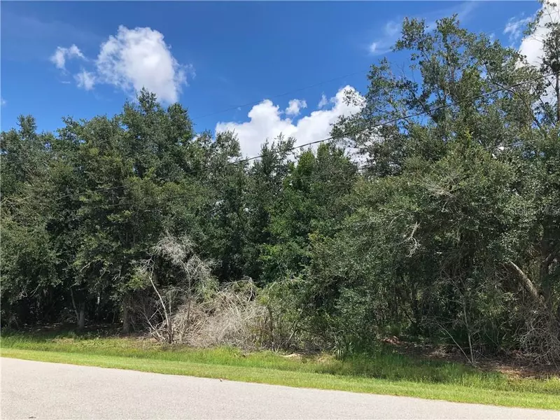 517 BLACKBIRD LN, Poinciana, FL 34759