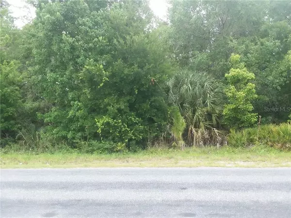 N GOODMAN RD, Kissimmee, FL 34747