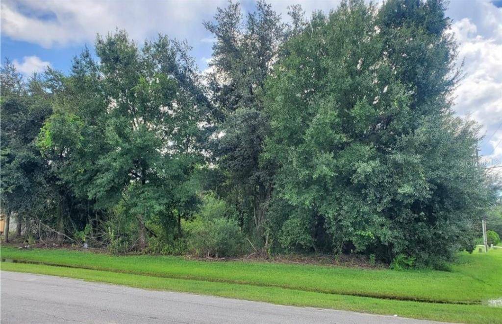 PALAISEAU CT, Kissimmee, FL 34759