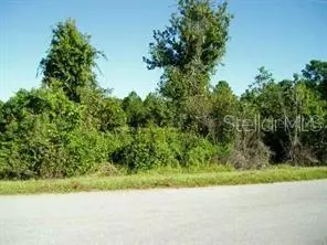 Saint Cloud, FL 34771,7045 BRIDLE PATH