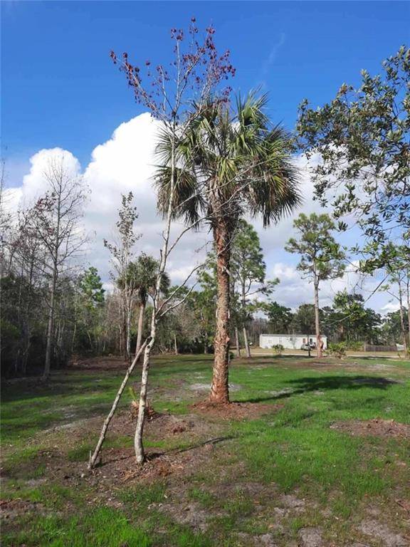 ATLAS DR, Saint Cloud, FL 34771