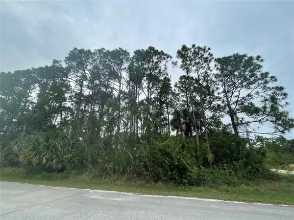 Palm Bay, FL 32908,HARTSDALE AVE SW