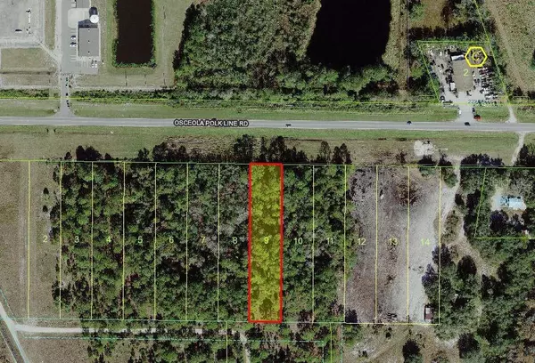 OSCEOLA POLK LINE RD, Davenport, FL 33896