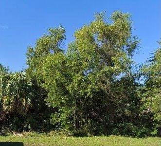 2044 SE BERKSHIRE BLVD,  Port Saint Lucie,  FL 34952