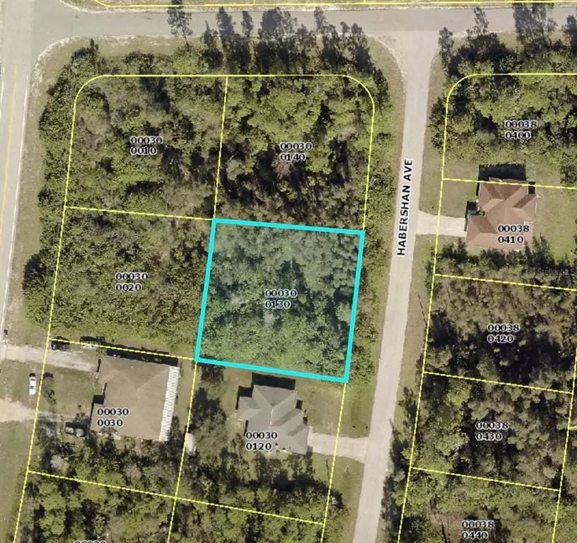 Lehigh Acres, FL 33974,1012 HABERSHAN AVE