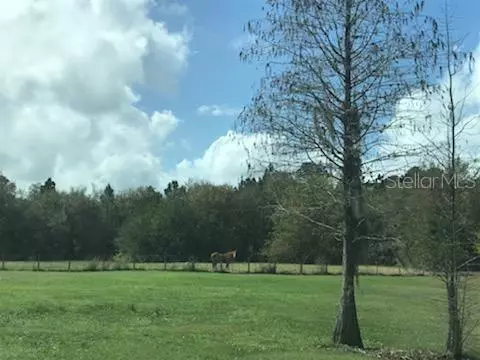 MICHIGAN AVE, Saint Cloud, FL 34769