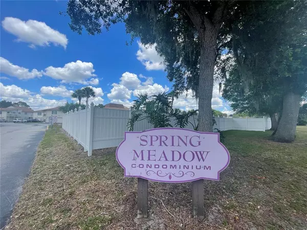 Kissimmee, FL 34741,1111 SPRING MEADOW DR