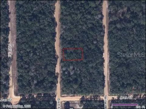 Palatka, FL 32178,INTERLACHEN LAKE ESTATES