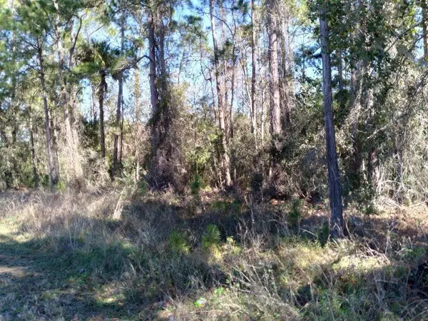 Polk City, FL 33868,EVANS RD