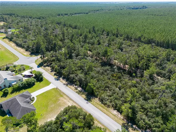 Ocala, FL 34473,00 SW 175TH LOOP