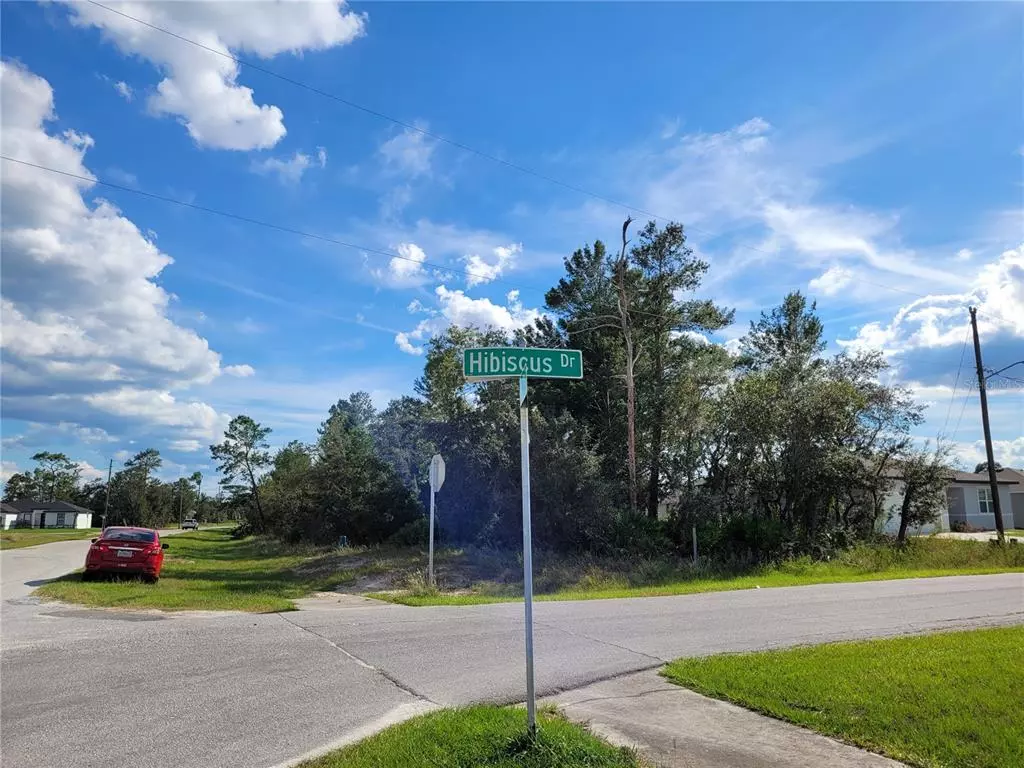 Poinciana, FL 34759,300 HIBISCUS DR