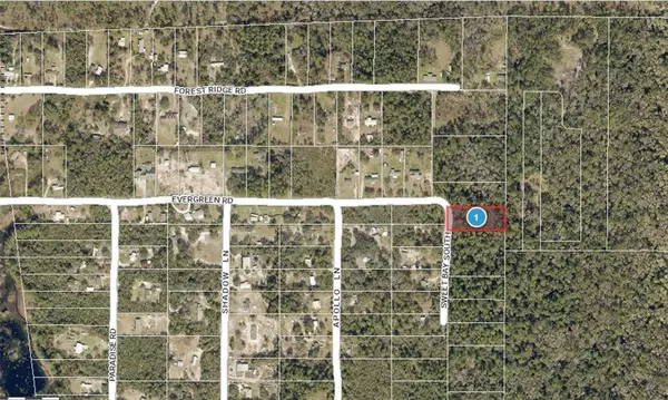 Deland, FL 32720,EVERGREEN RD