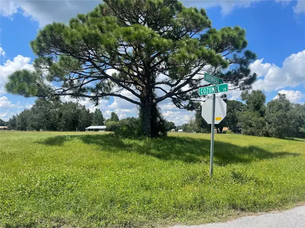 Sebring, FL 33876,8161 COZUMEL LN